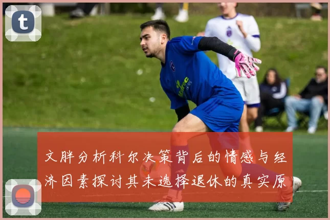 文胖分析科尔决策背后的情感与经济因素探讨其未选择退休的真实原因